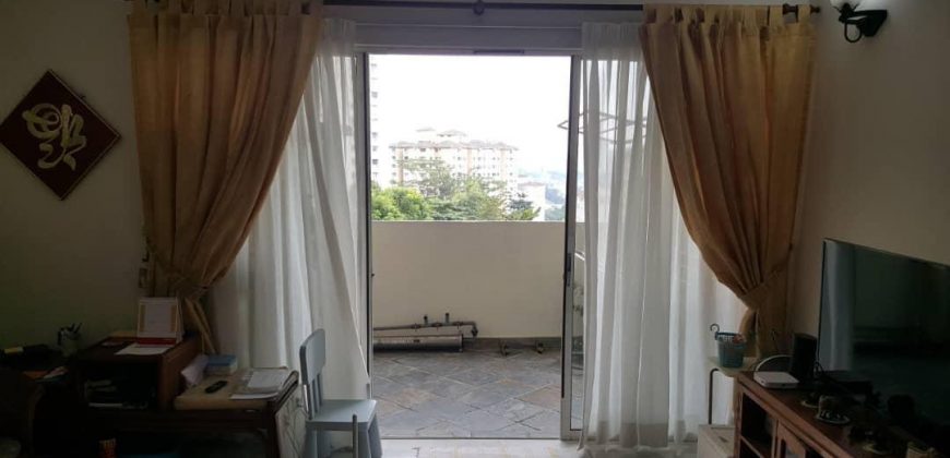 Seri Puri Apartment Sri Damansara