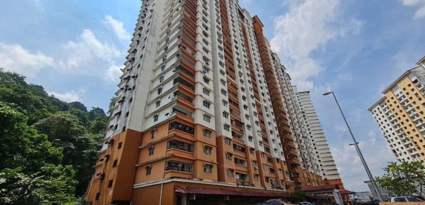 Apartment Flora Damansara, Petaling Jaya, Selangor.